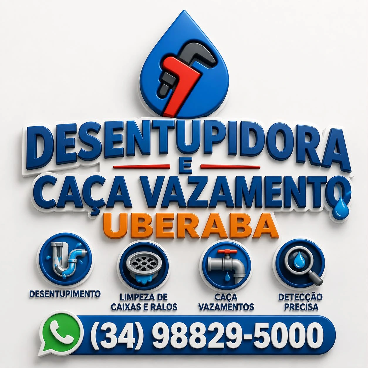 Logo da Desentupidora em Uberaba